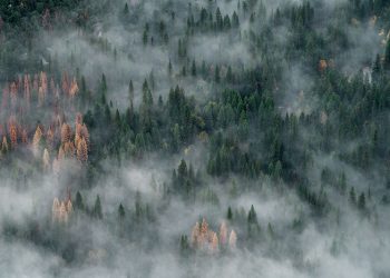 Yosemite National Park Closes to Visitors Due to Hazardous Air and Smoke from Wildfires