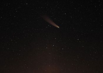 An Asteroid Hurtling Towards Earth Could Hit a Day before Election – Neil deGrasse Tyson