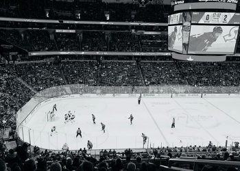 More Than a Dozen Players Infected With COVID-19 after a Hockey Game in Florida