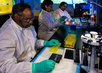 Scientists Reveal What Baby Tyrannosaur Looked Like With the Discovery of a Fossil