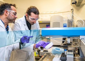 Scientists Finally Get Hold of the Ram Horn Squid in Its Natural Habitat in Rare Footage