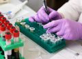 Trump Administration Promises Equitable Distribution of New COVID-19 Antibody Drug