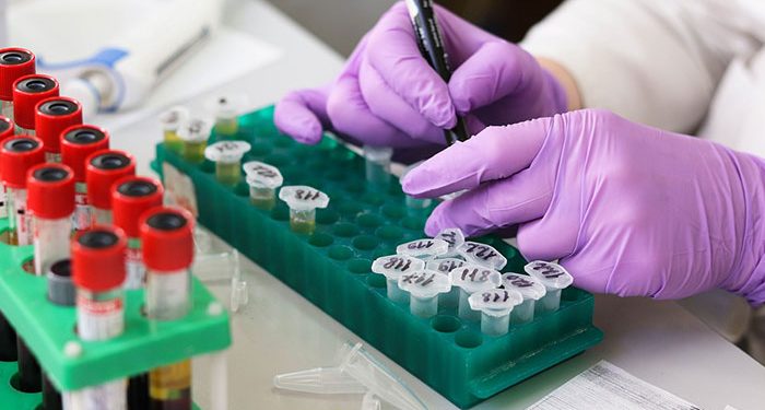 Trump Administration Promises Equitable Distribution of New COVID-19 Antibody Drug