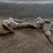 Two Male Bodies of a Master and His Slave Unearthed in Ruins from Pompeii
