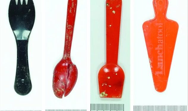 Archaeologists Uncover Thousands of Plastic Items at Prehistoric Welsh Iron Age Site