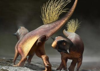 Scientists Discover Fossilized Lair of a Predator That Could Be a Bobbit Worm