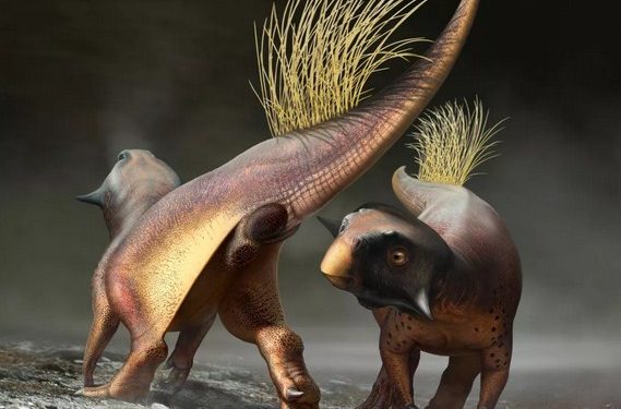 Scientists Discover Fossilized Lair of a Predator That Could Be a Bobbit Worm