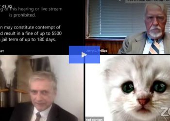 Texas Lawyer Appears in Zoom Court Proceeding as a Cat; Says He’s Not a Real Cat