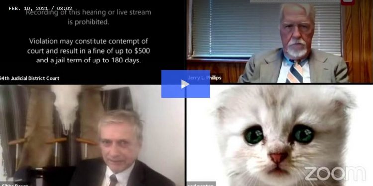 Texas Lawyer Appears in Zoom Court Proceeding as a Cat; Says He’s Not a Real Cat