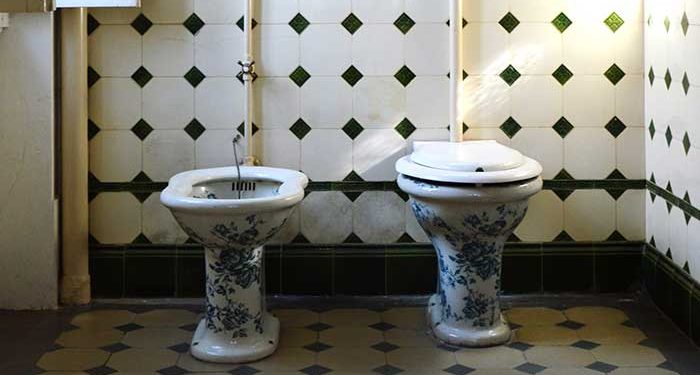 Is a Bidet Really Life Changing?